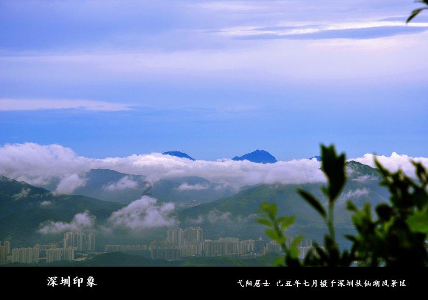森迪公主夏日度假