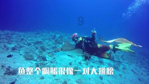 可爱猴子装扮
